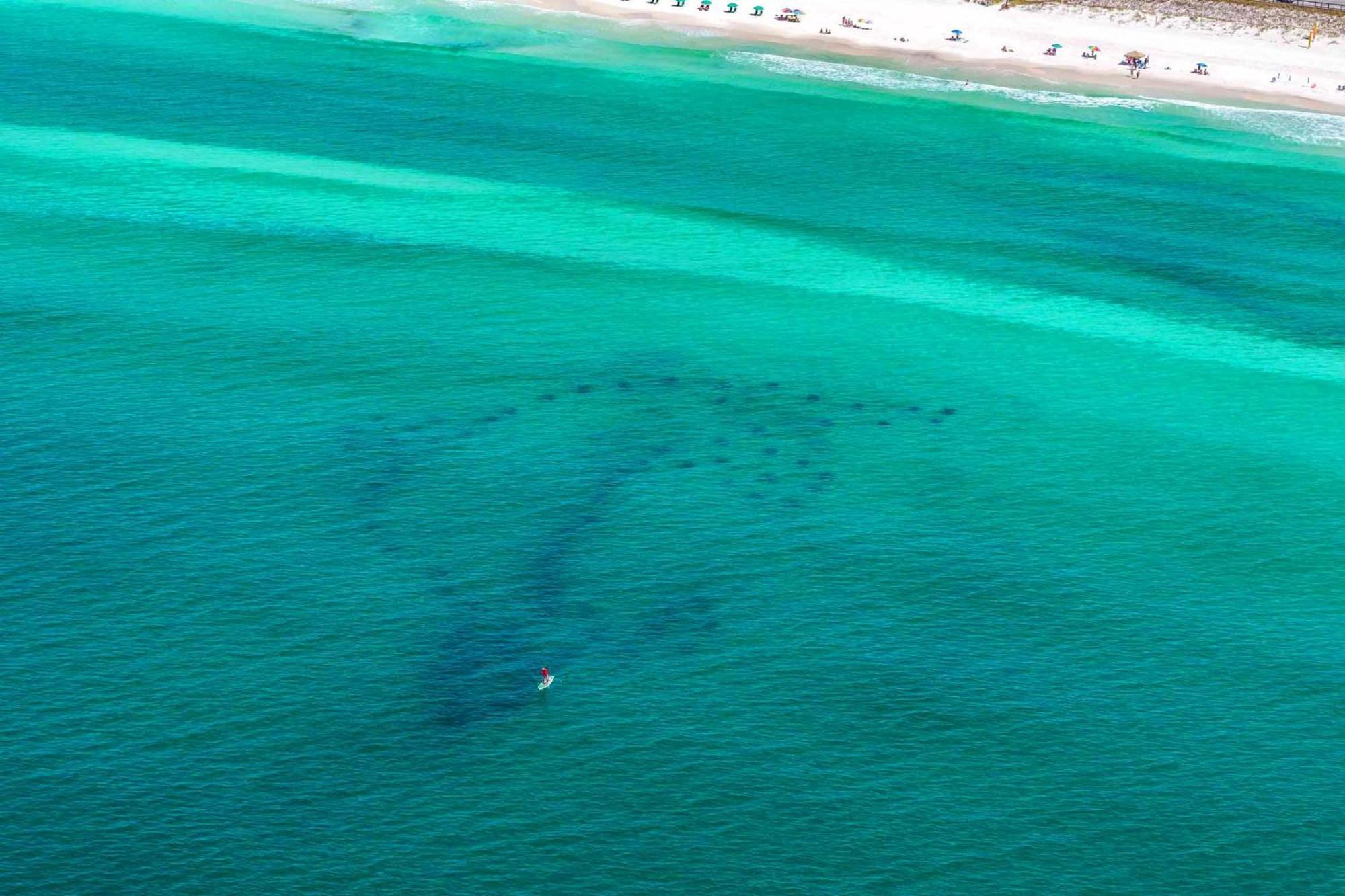 Our Happy Place Destin Buitenkant foto